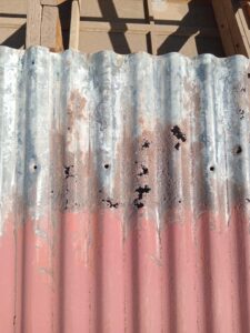 366566281_785701423341322_6626263229891771456_n