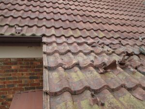 46828867_1935748133174035_3582397548322619392_n