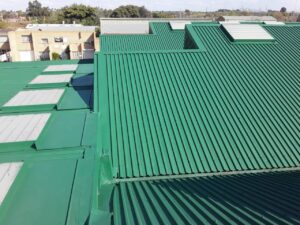 61407582_2201923093223203_3467075606250782720_n (1)