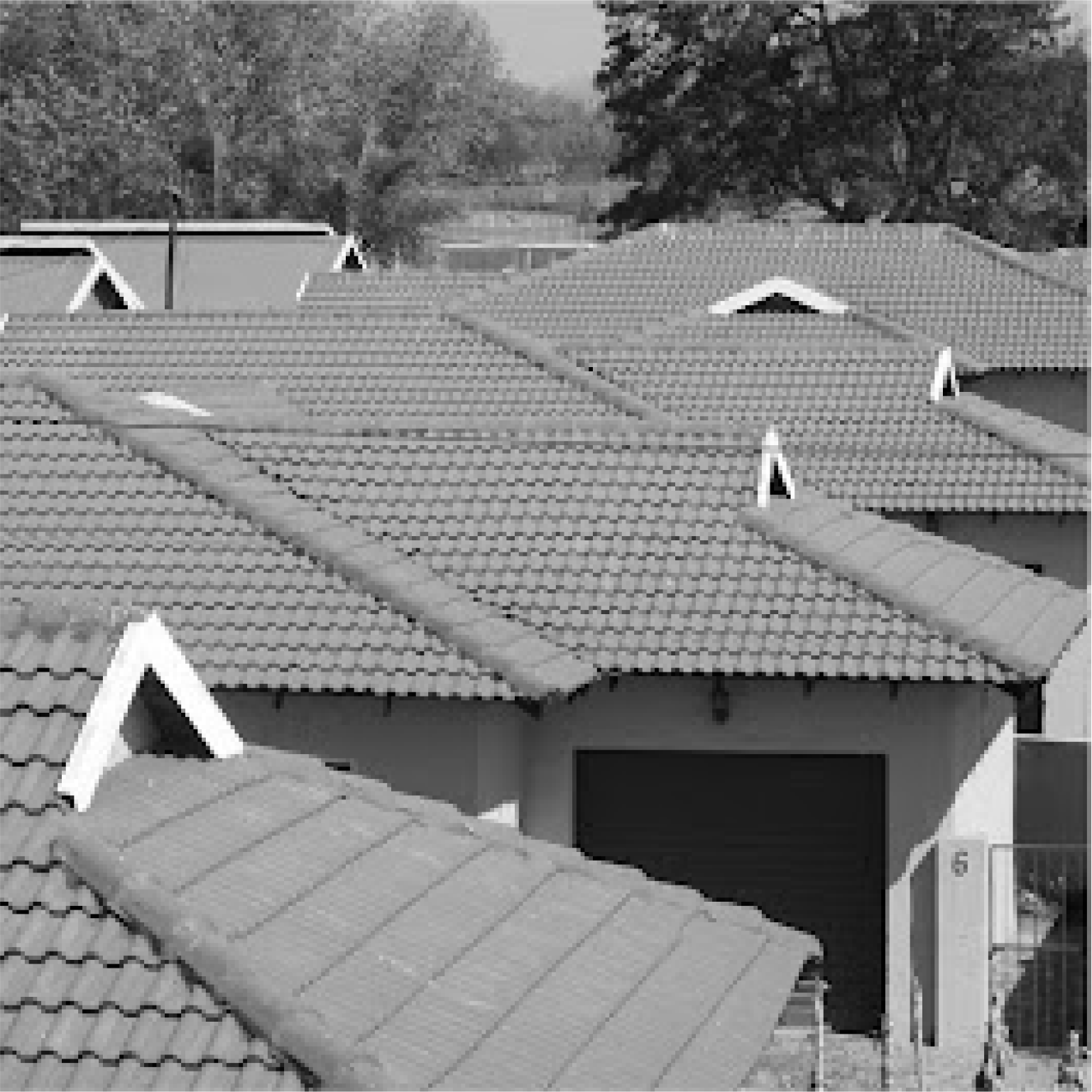Roof_2