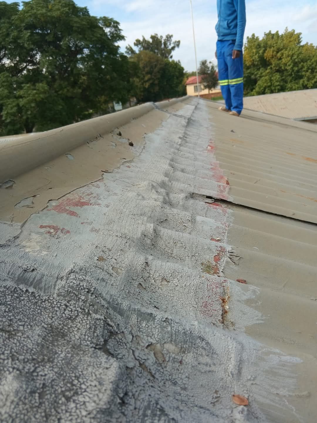 Rubberisied Roof